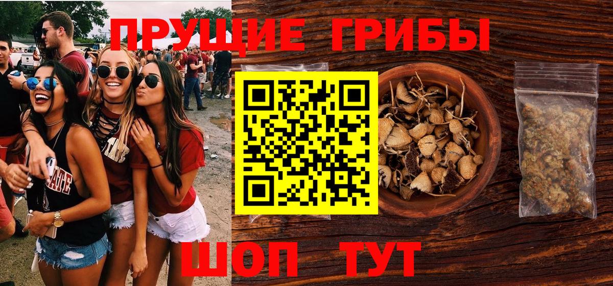 Псилоцибиновые грибы ЛСД Чебоксары